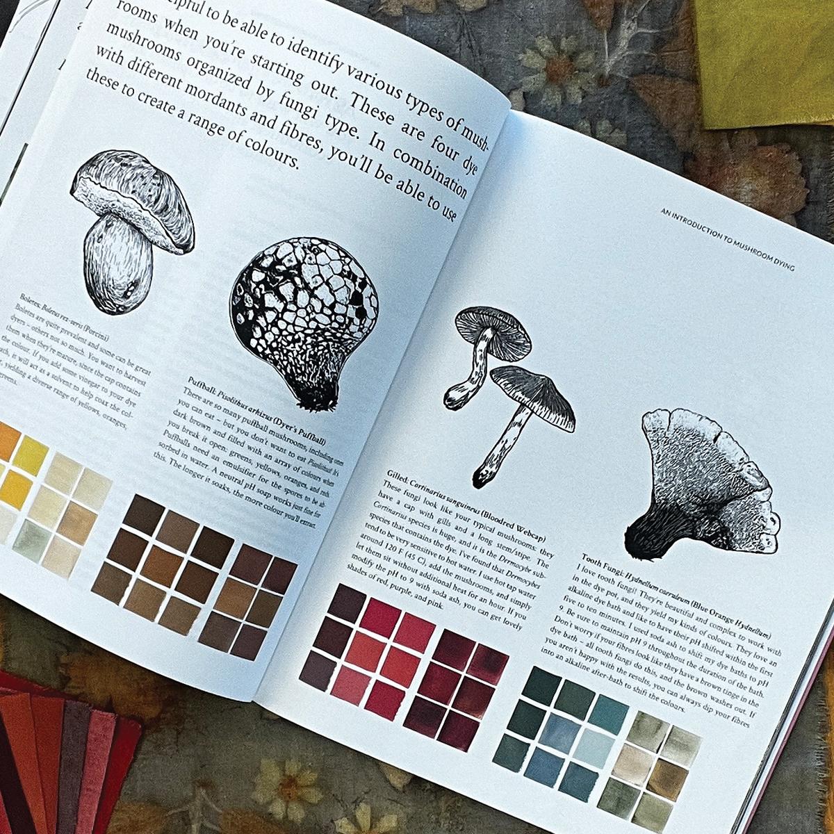 Dye mushrooms from the Mushroom Color Atlas featured in Tauko.