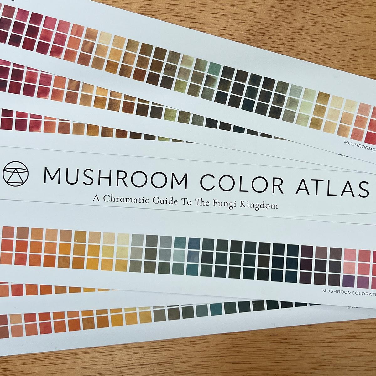 Detail of Mushroom Color Atlas Dye Marks.