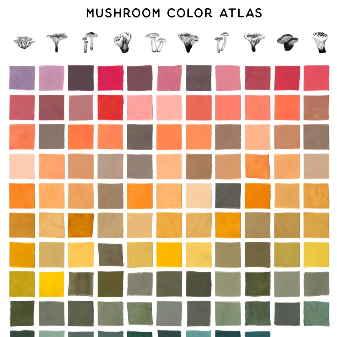 Color palette from the Mushroom Color Atlas.