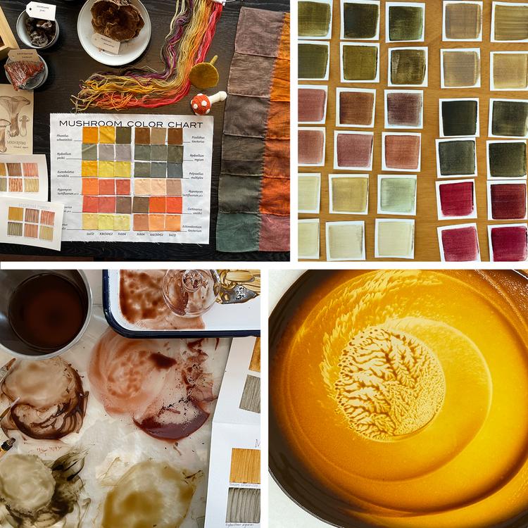 Resources Mushroom Color Atlas