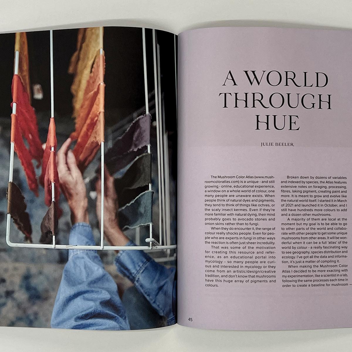Article spread from &lsquo;A World Through Hue&rsquo; featured in THE MUSHROOM.