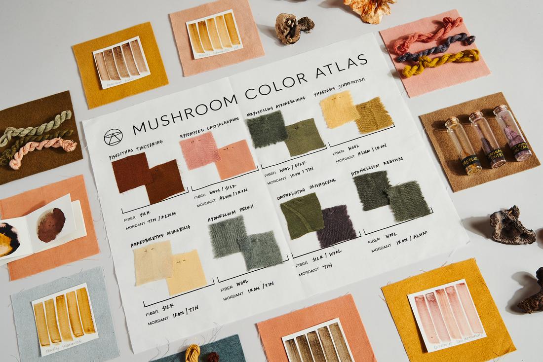 Mushroom Color Atlas Poster Mushroom Color Atlas